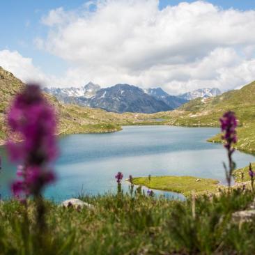 Pêche en lac et torrents - Lac Bramant