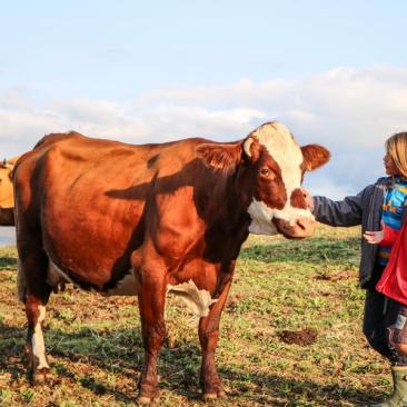 Enfants à la rencontre des vaches - Enfants à la rencontre des vaches