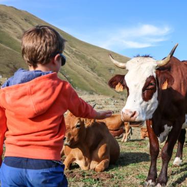 Enfant et vache - Enfant et vache