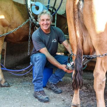 Traite des vaches Laitelet - OT SSA