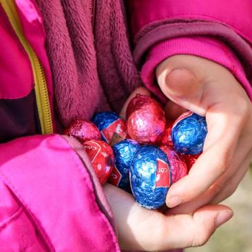 Oeufs de pâques - Oeufs de pâques