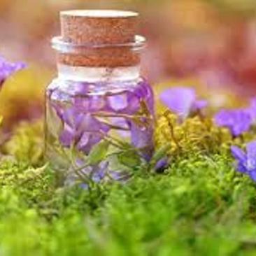 Naturopathie - Naturopathie