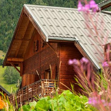 Goélia Les Chalets de Saint Sorlin - Vue extérieure été